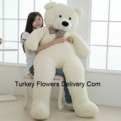 A Giant 5 Feet (60 Inches) Tall White Teddy Bear