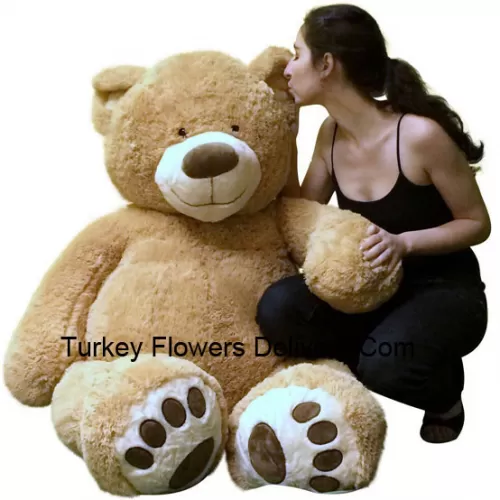 A Giant 4 Feet (48 Inches) Tall Brown Teddy Bear