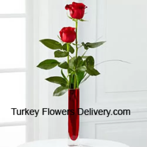 Due Rose Rosse in un Vaso di Prova Rosso (Ci Riserviamo il Diritto di Sostituire il Vaso in Caso di Non Disponibilità. Scorta Limitata)